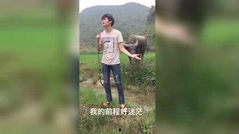 国产福利在 线观看视频,在线观看视频，畅享视听盛宴